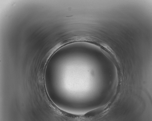 X0000081471089200701191759