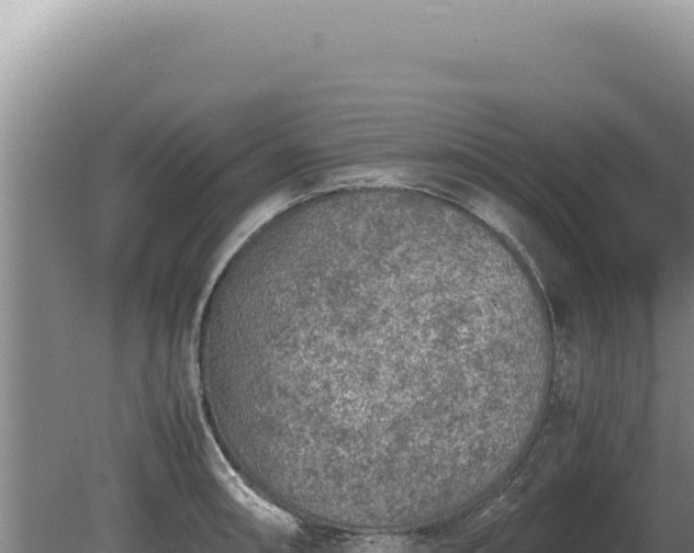 X0000081471090200701191759