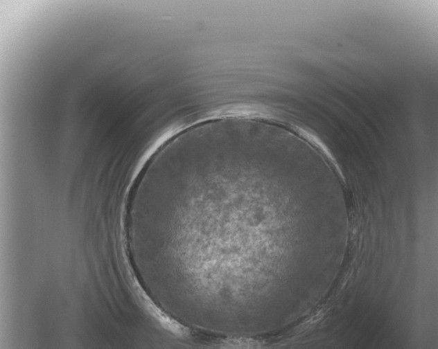 X0000081471091200701191759