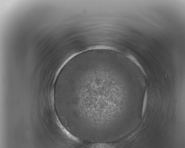 X0000081471092200701191759