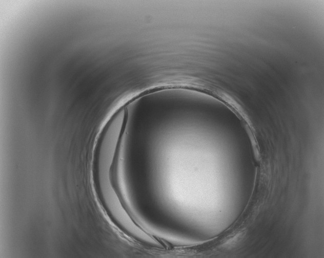 X0000081471093200701191759