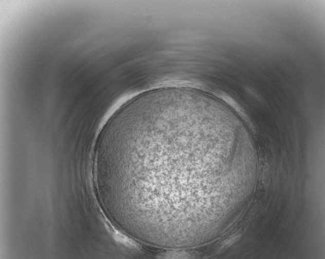 X0000081471094200701191759