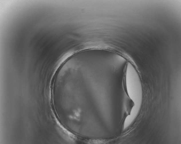 X0000081471095200701191759