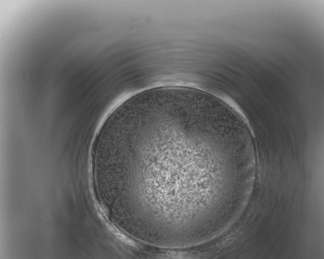 X0000081471096200701191759