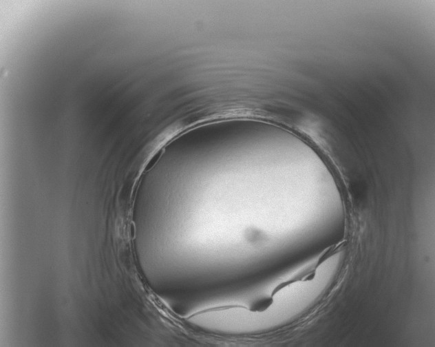 X0000081471097200701191759