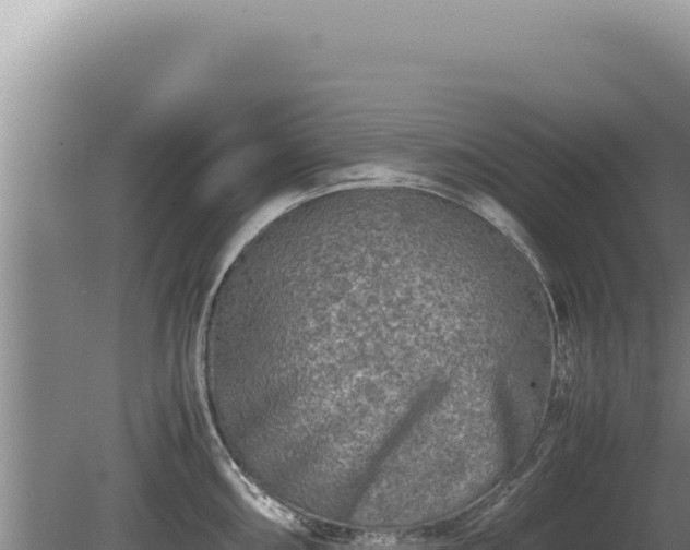 X0000081471098200701191759