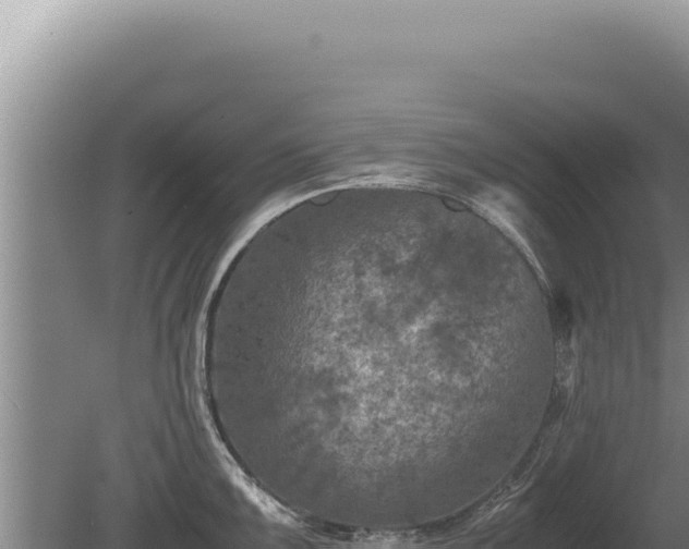 X0000081471099200701191759