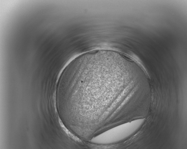 X0000081471100200701191759