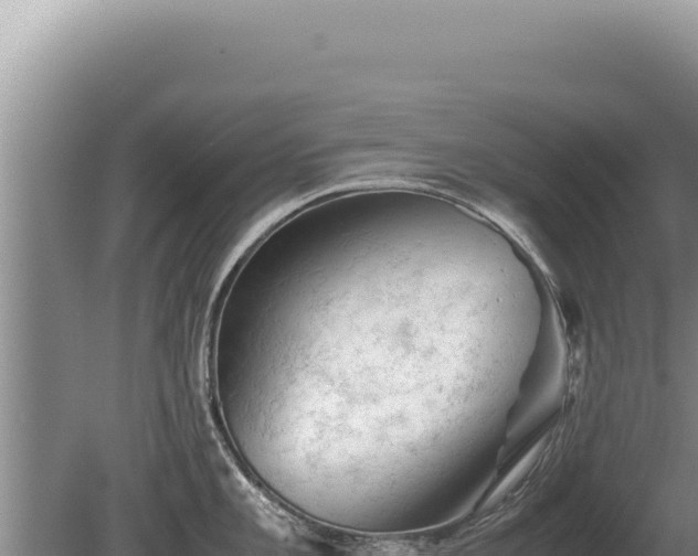 X0000081471101200701191759