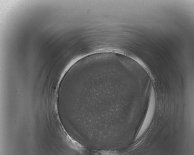 X0000081471102200701191759