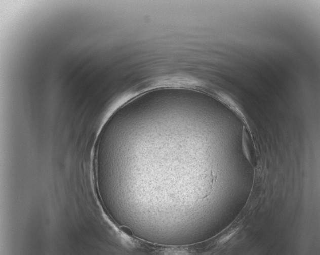 X0000081471103200701191759