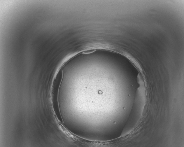 X0000081471104200701191759