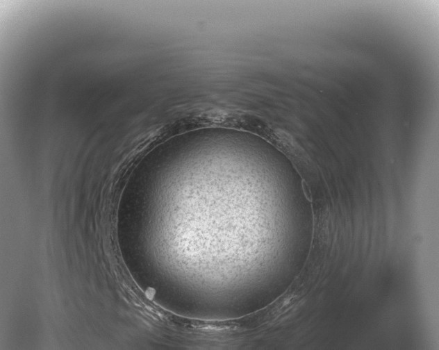 X0000081471105200701191758