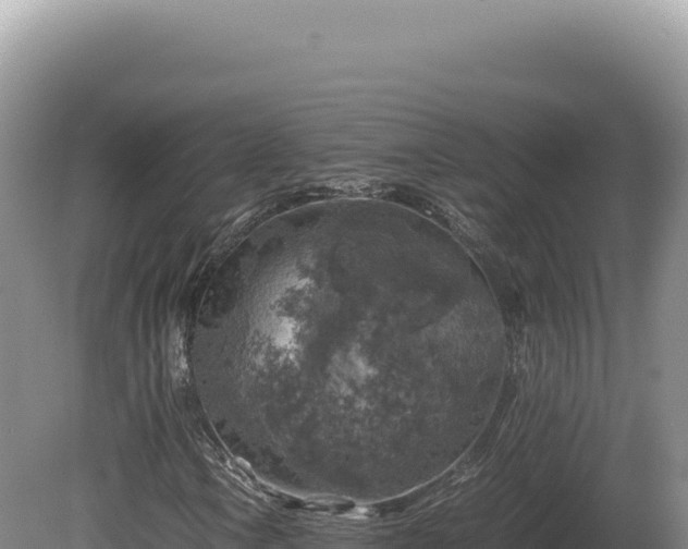 X0000081471106200701191758