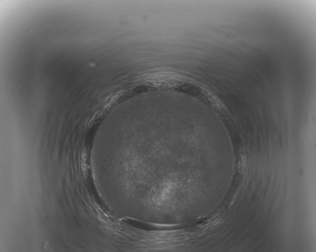 X0000081471108200701191758