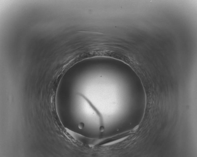 X0000081471109200701191758