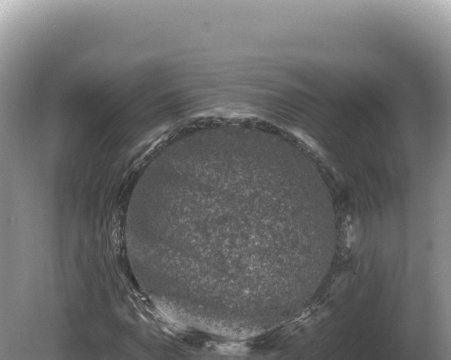 X0000081471110200701191758