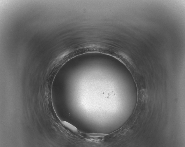 X0000081471111200701191758