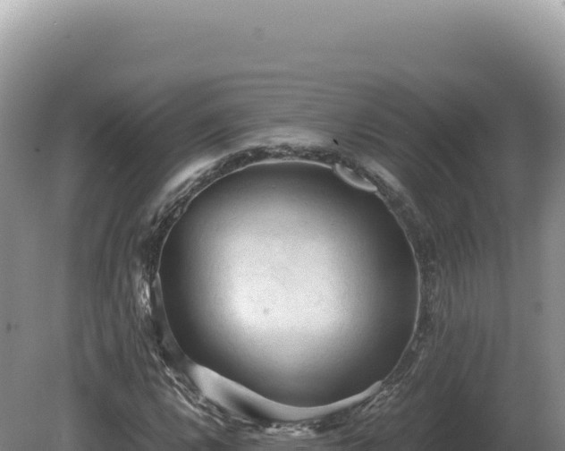 X0000081471112200701191758