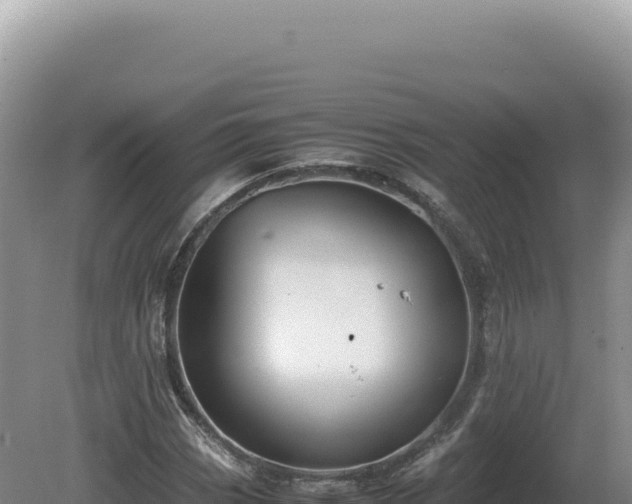 X0000081471113200701191758