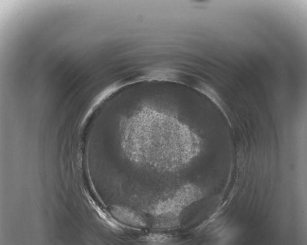 X0000081471115200701191758