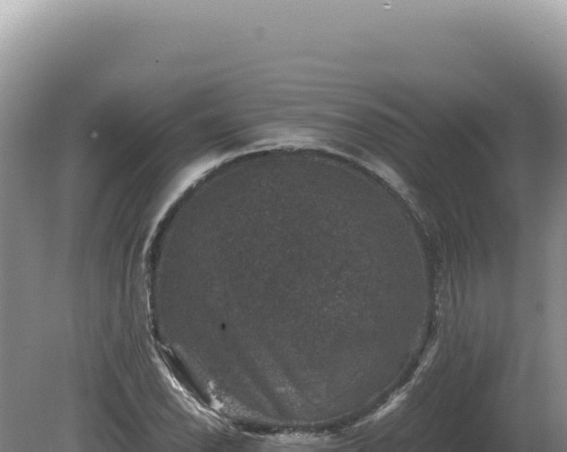 X0000081471118200701191758