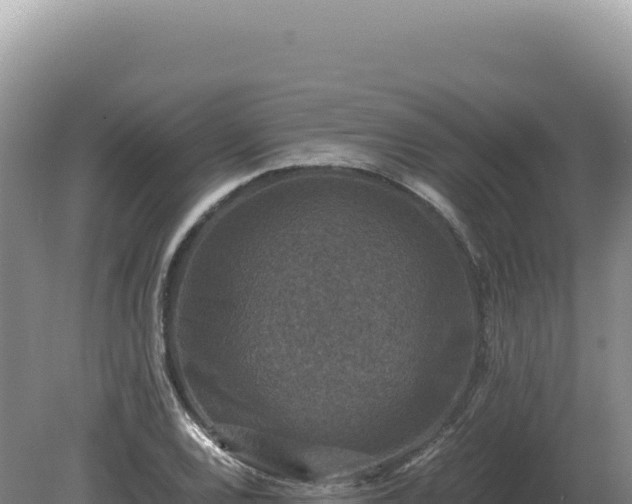 X0000081471120200701191758