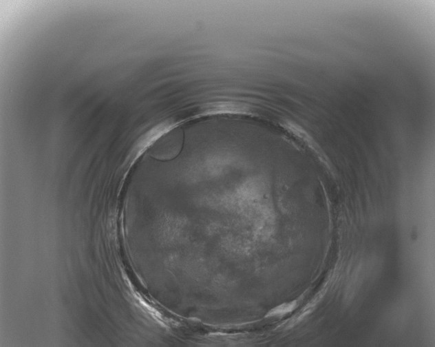 X0000081471121200701191759