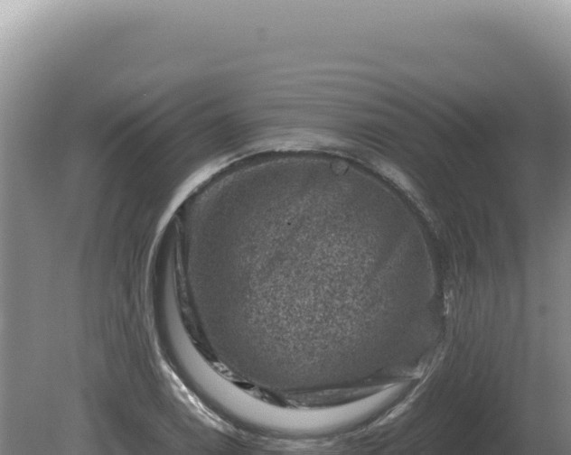 X0000081471122200701191759