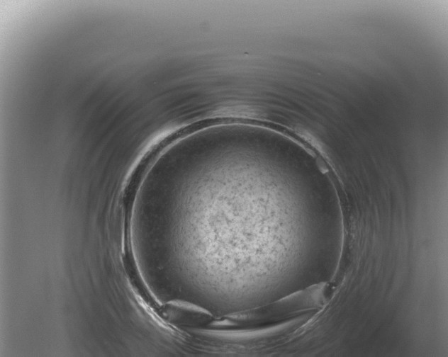 X0000081471123200701191759