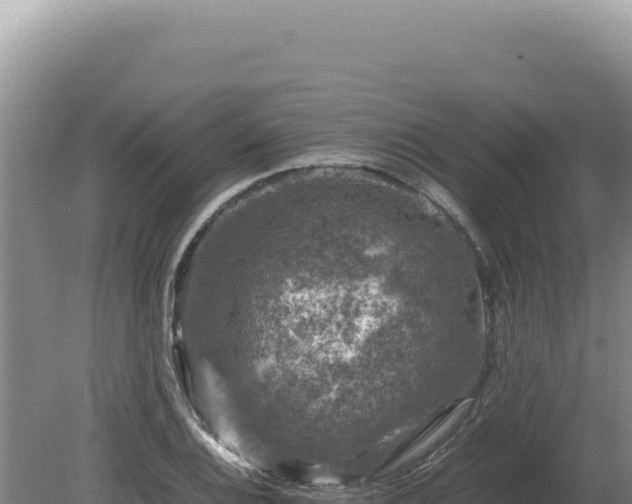 X0000081471124200701191759