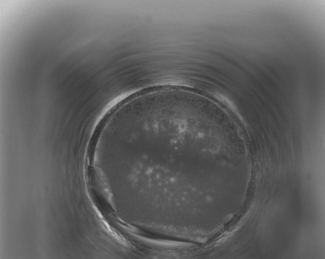 X0000081471125200701191759