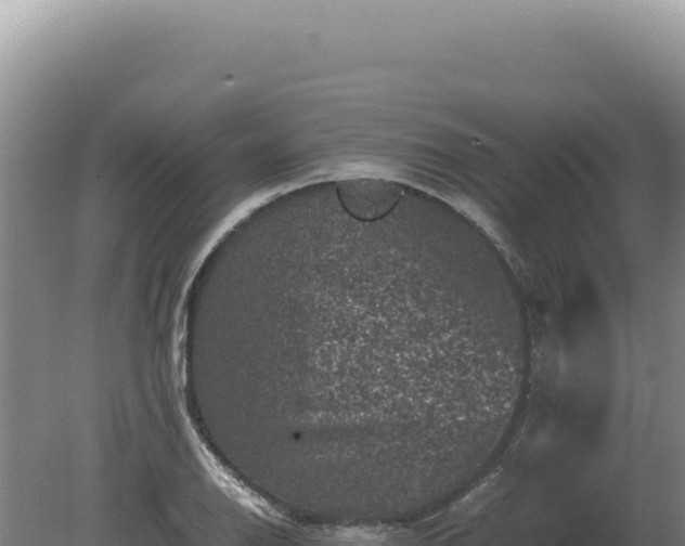 X0000081471126200701191759