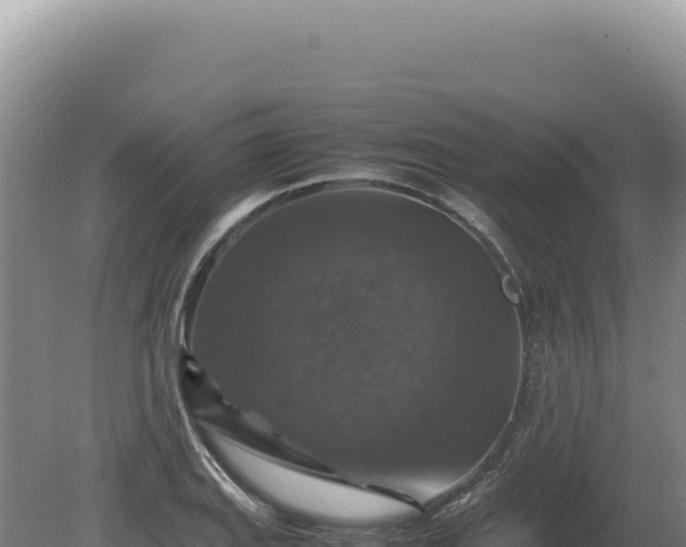 X0000081471127200701191759