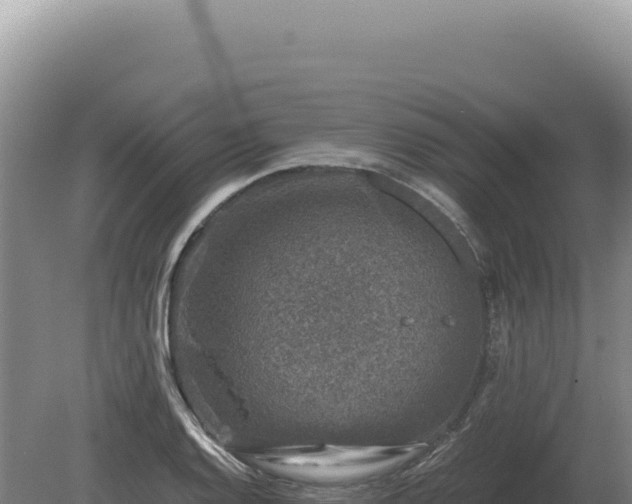 X0000081471128200701191759