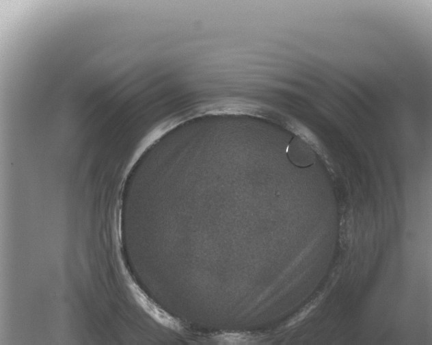 X0000081471130200701191759