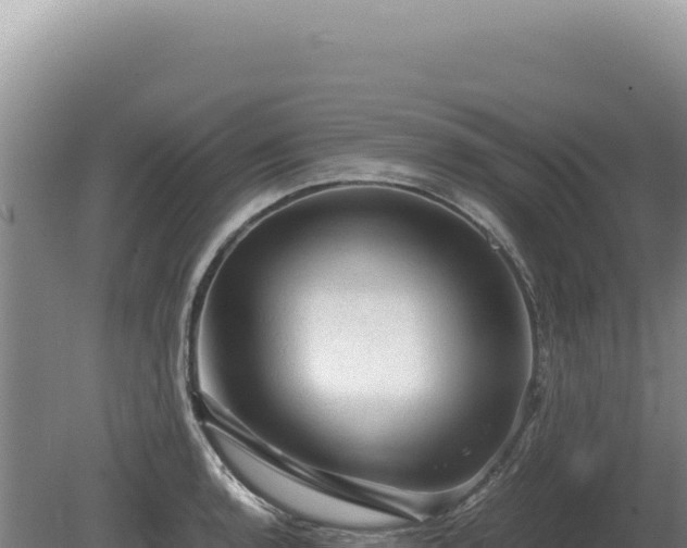 X0000081471136200701191759