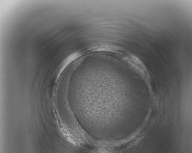 X0000081471138200701191759