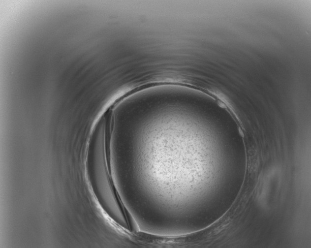 X0000081471139200701191759