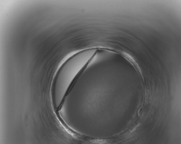 X0000081471141200701191759