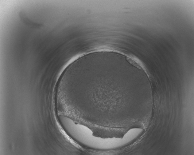 X0000081471142200701191759