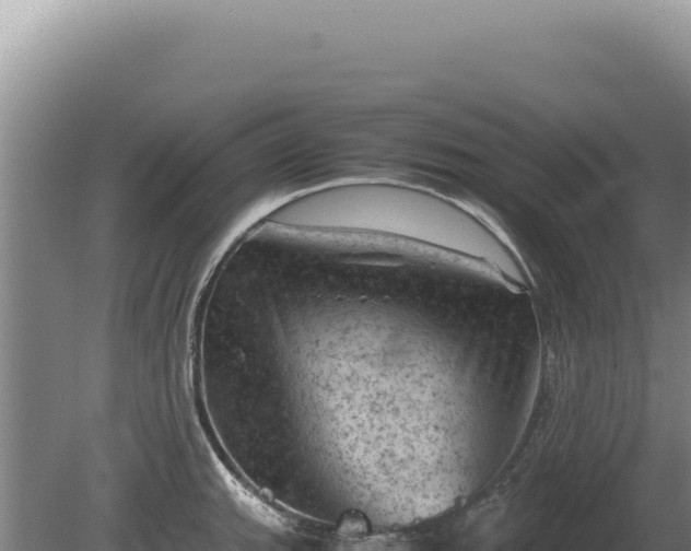 X0000081471143200701191759