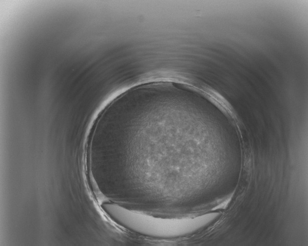 X0000081471144200701191759