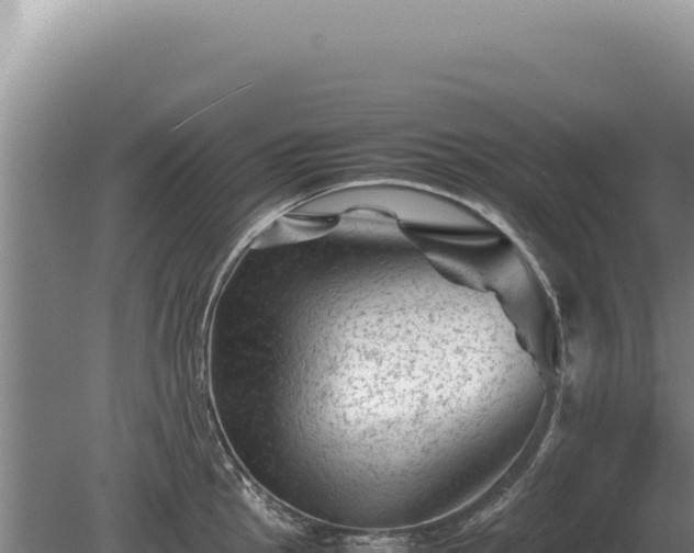 X0000081471145200701191759