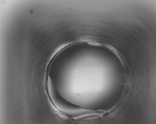 X0000081471147200701191759