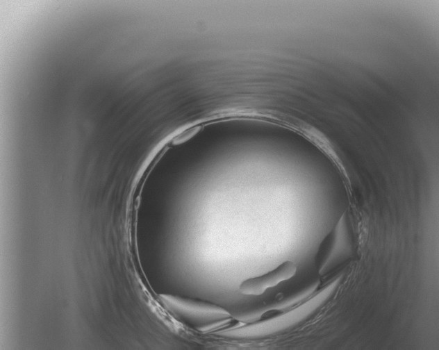 X0000081471148200701191759