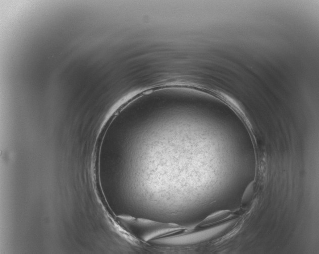 X0000081471149200701191759