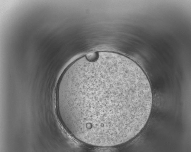 X0000081471150200701191759