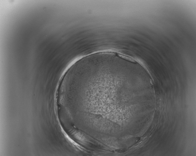 X0000081471151200701191759