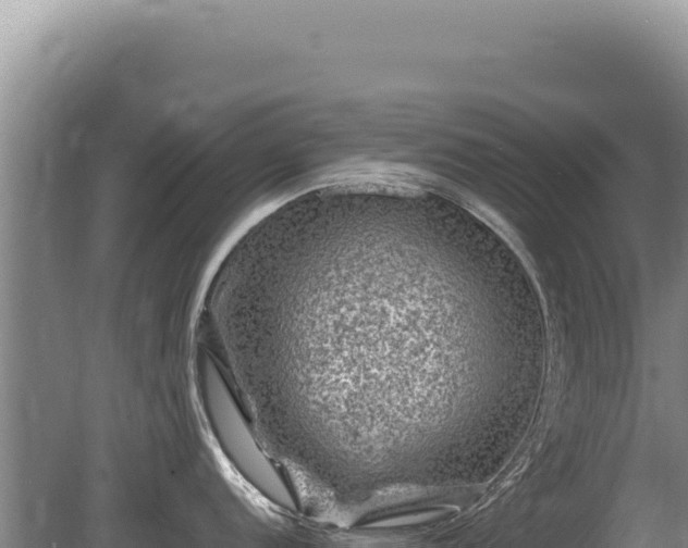 X0000081471152200701191759